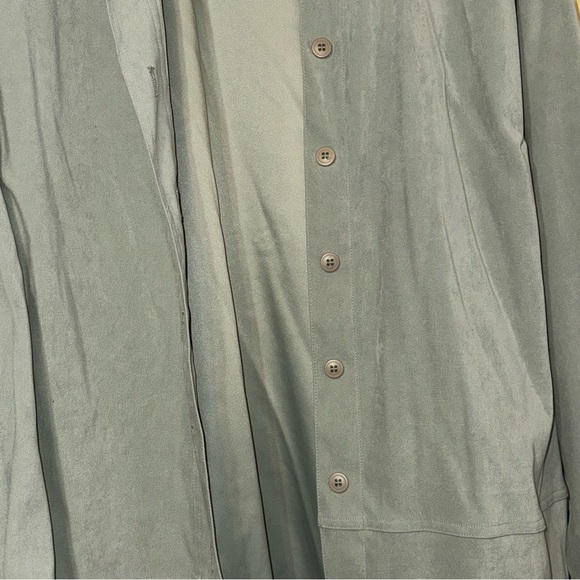 Sage Green Croft & Barrow Stretch Button Down Blouse - Picture 3 of 10